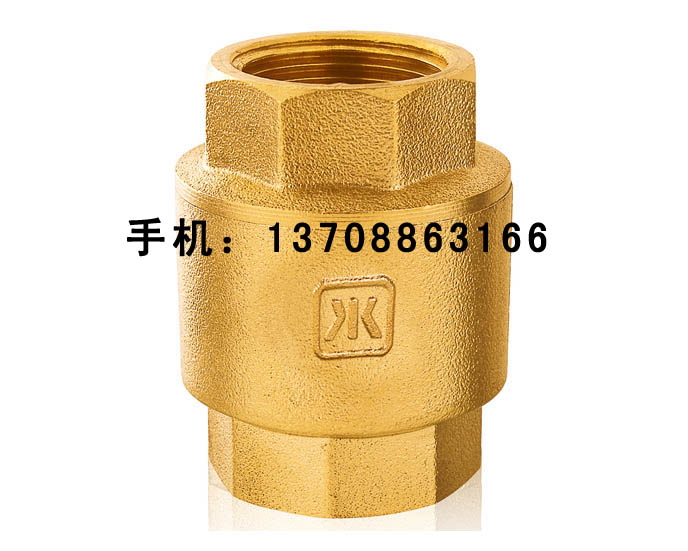 黃銅立式止回閥