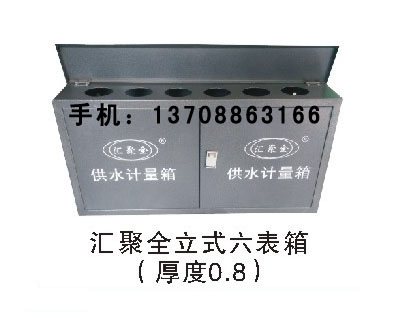 匯聚全立式六表箱
