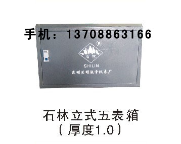 石林立式五表箱