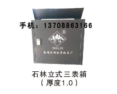 石林立式三表箱