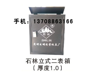 石林立式二表箱